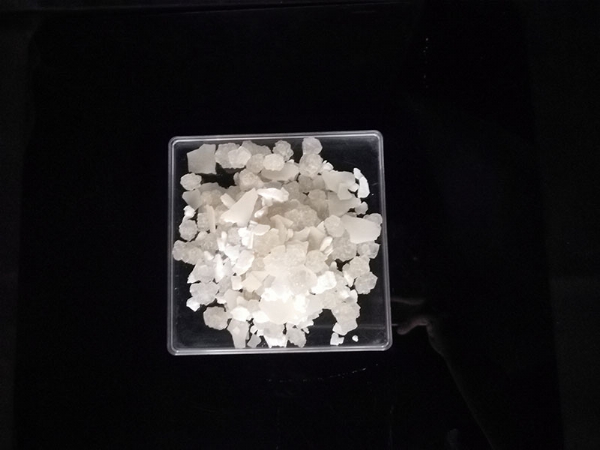 ��ѩ�����
